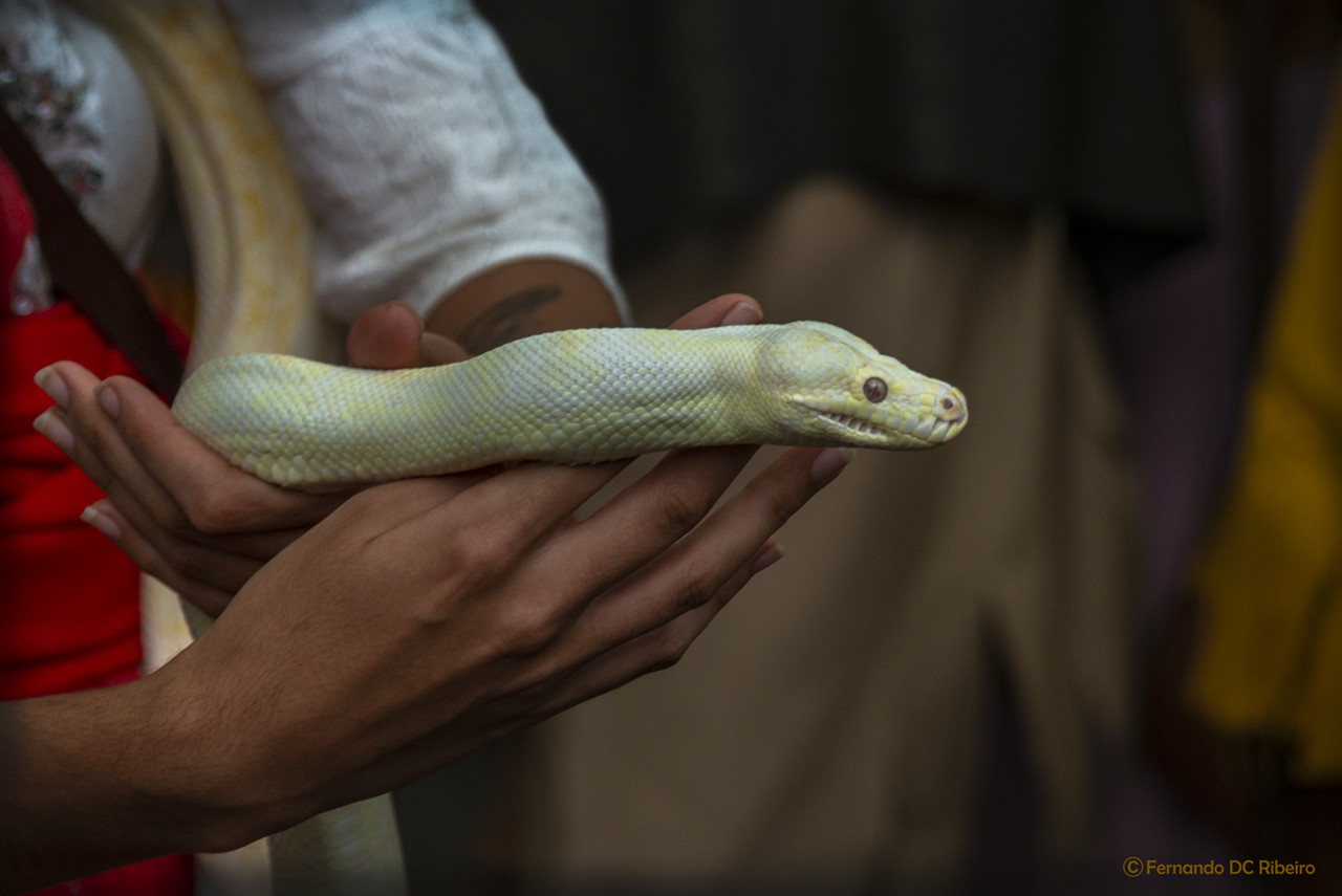 1600-romanos-19 (156).jpg