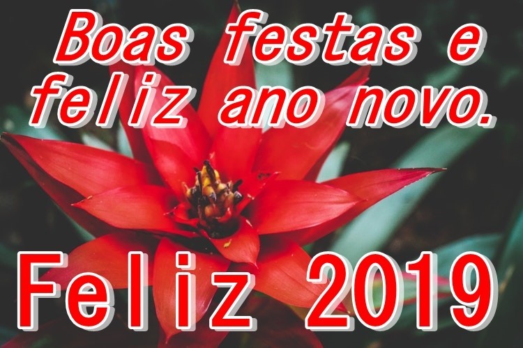 Boas Festas!!.jpg