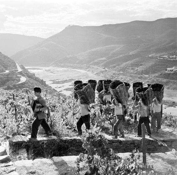 b82651c47e1b36a46d9f1ca75efffd6a.jpg b82651c47e1b36a46d9f1ca75efffd6a.jpg