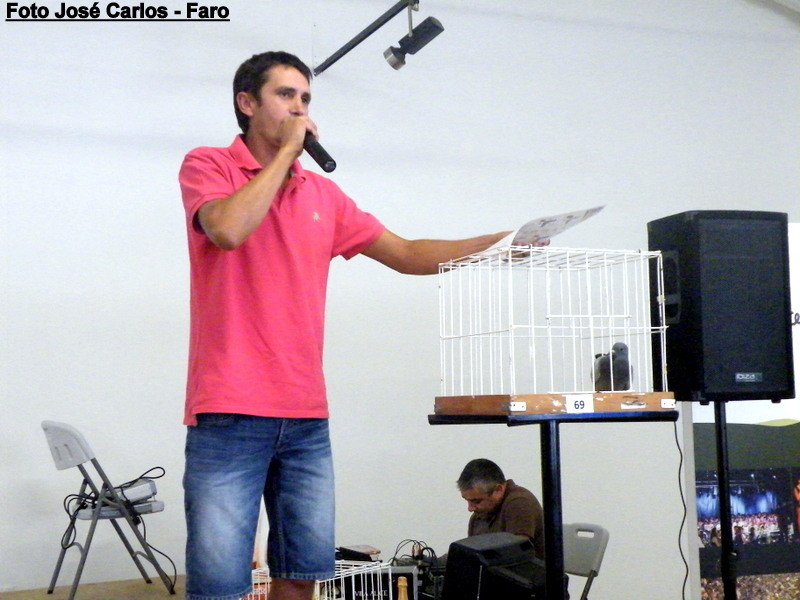 Leilão Serpa 2017 037.JPG