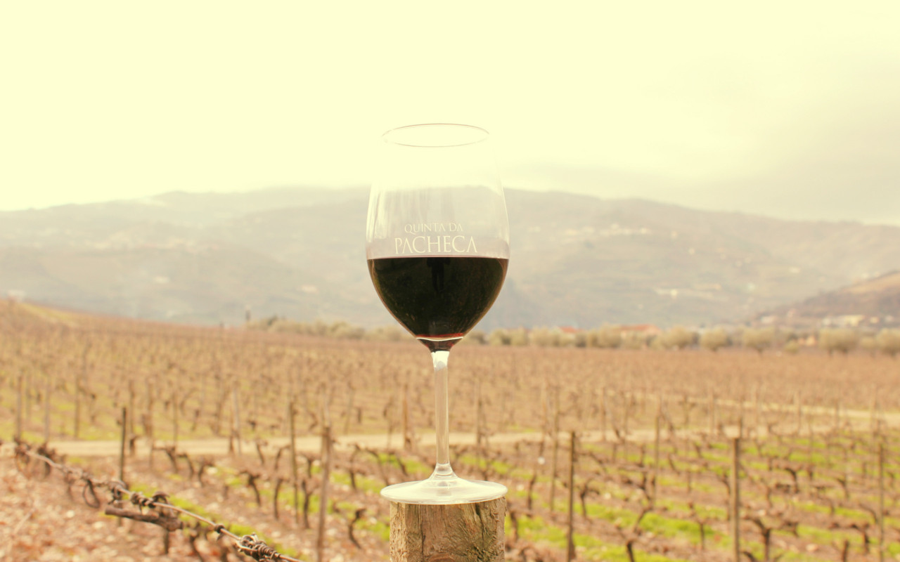 The Wine House Hotel - Quinta da Pacheca