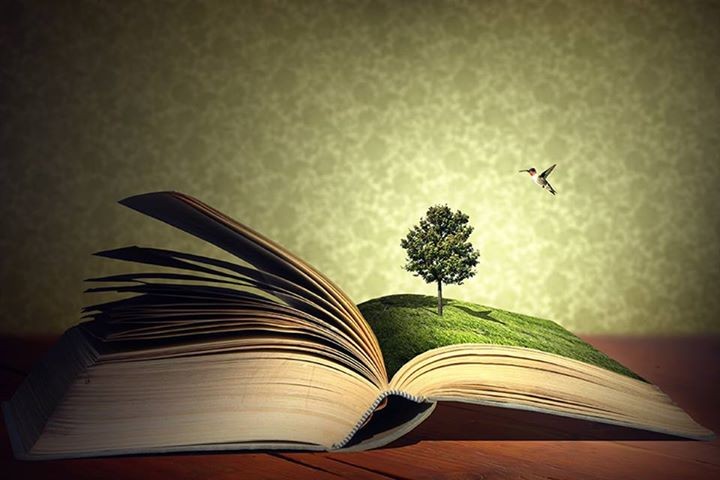 árvore2 livro.jpg