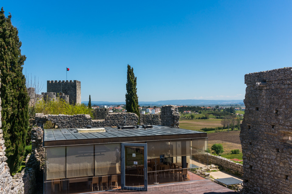 DSC01593.jpg DSC01593.jpg