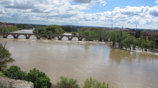 Zamora_3 Zamora_3
