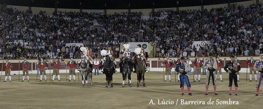 IMG_6779.JPG IMG_6779.JPG