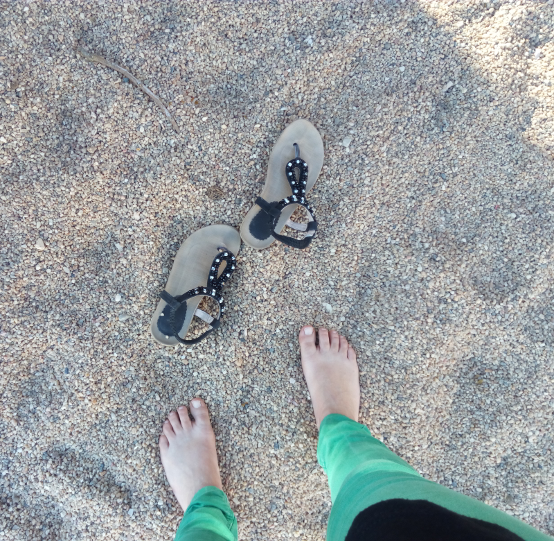 PE_20170426_070037.png PE_20170426_070037.png