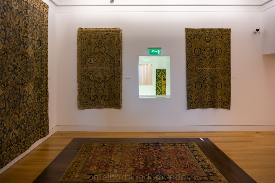 DSC08145.jpg DSC08145.jpg