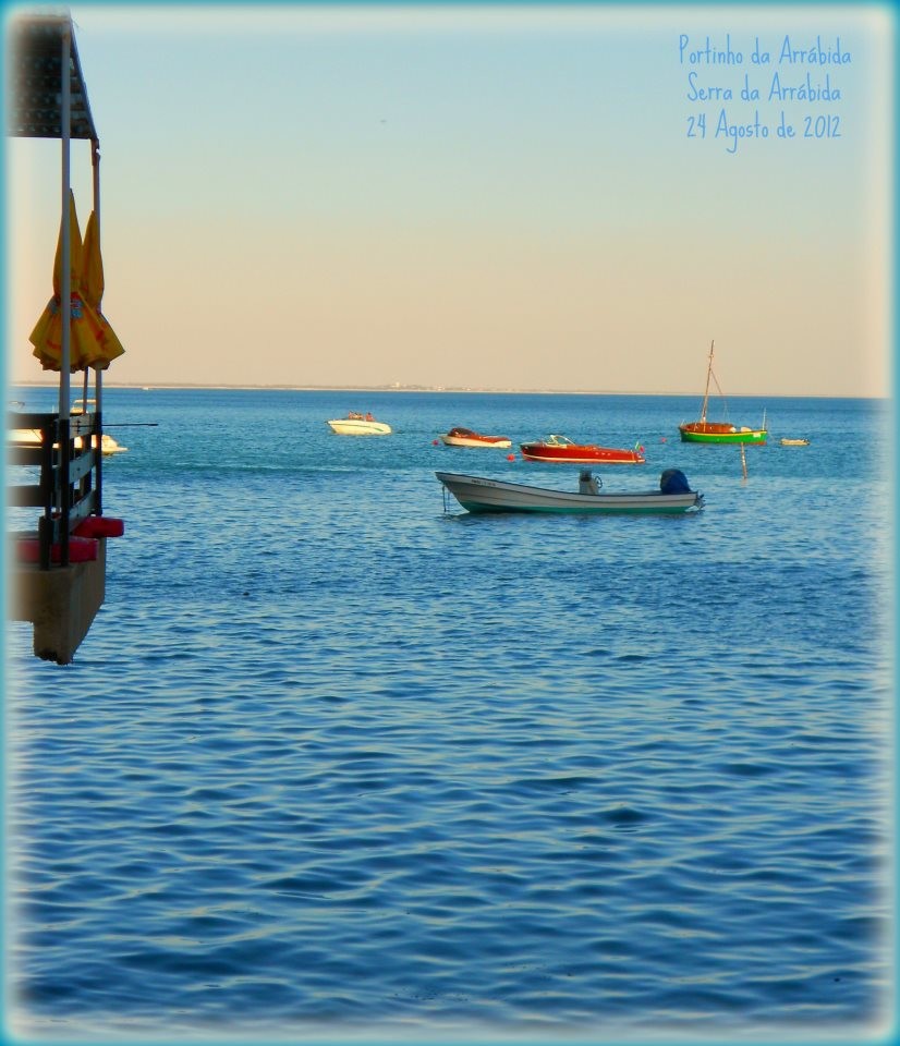 217883_482006871837582_1739352014_n.jpg 217883_482006871837582_1739352014_n.jpg