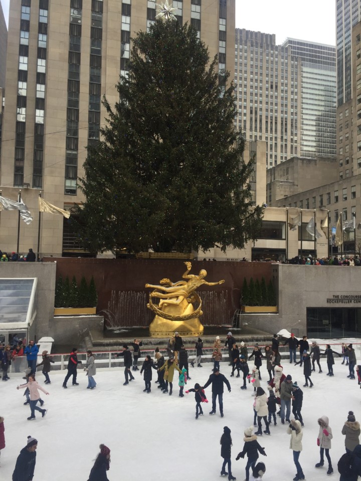 IMG_8458.JPG IMG_8458.JPG