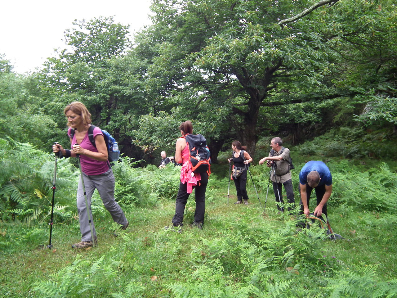 DSCF2892.JPG DSCF2892.JPG