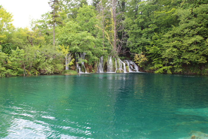 img_9761.jpg img_9761.jpg