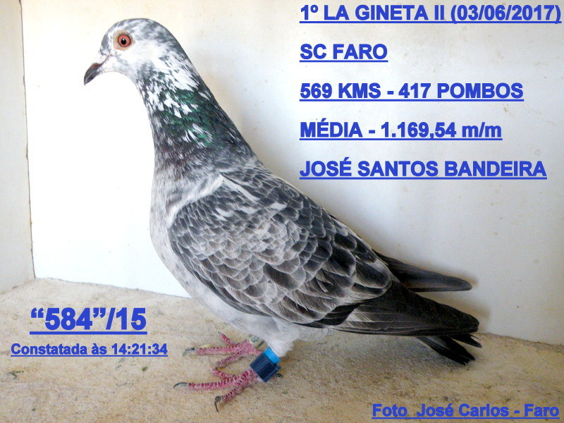 La Gineta 2 015.JPG La Gineta 2 015.JPG