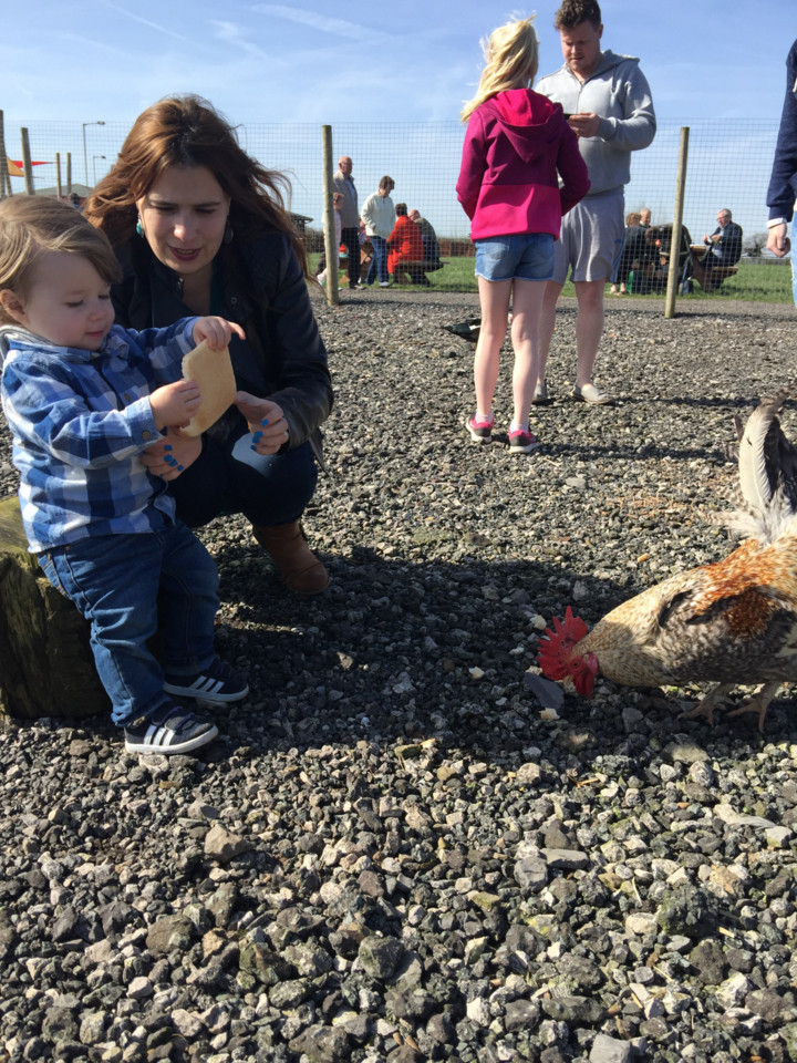 20170326_132202494_ios (1).jpg 20170326_132202494_ios (1).jpg