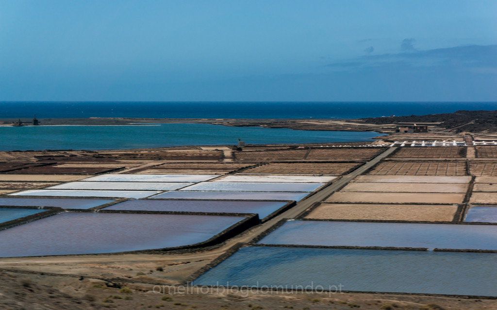 _DSC7483.jpg _DSC7483.jpg