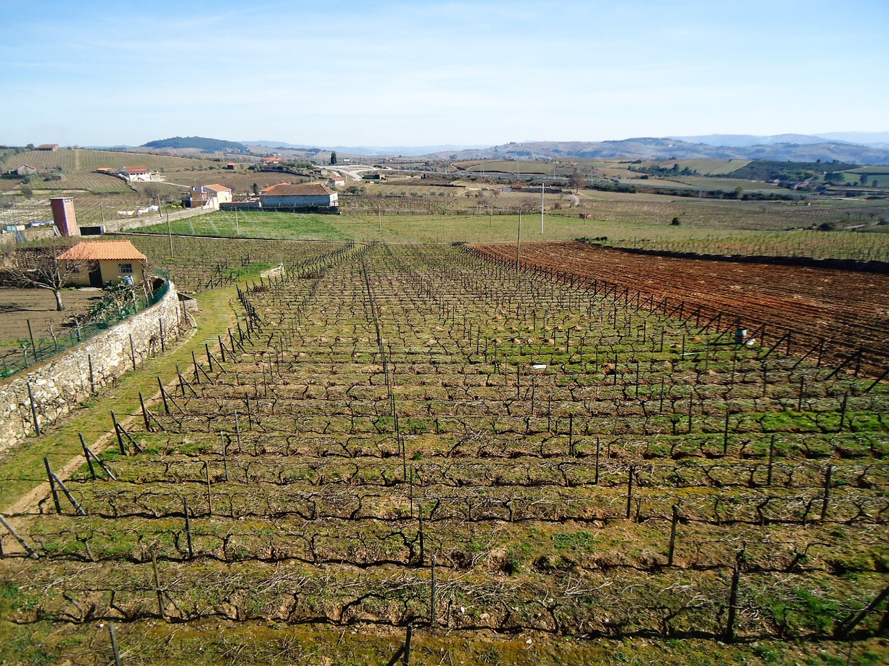 DSC07459.JPG DSC07459.JPG