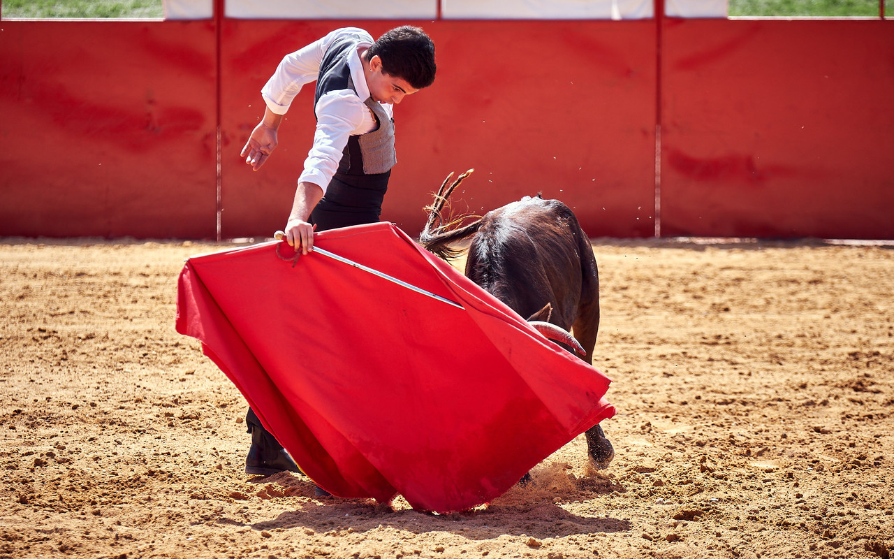 João Góis.jpg João Góis.jpg