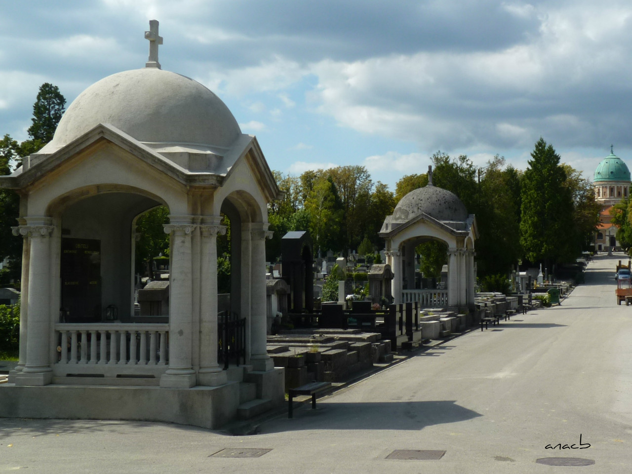 P1370948 cópia assin.jpg