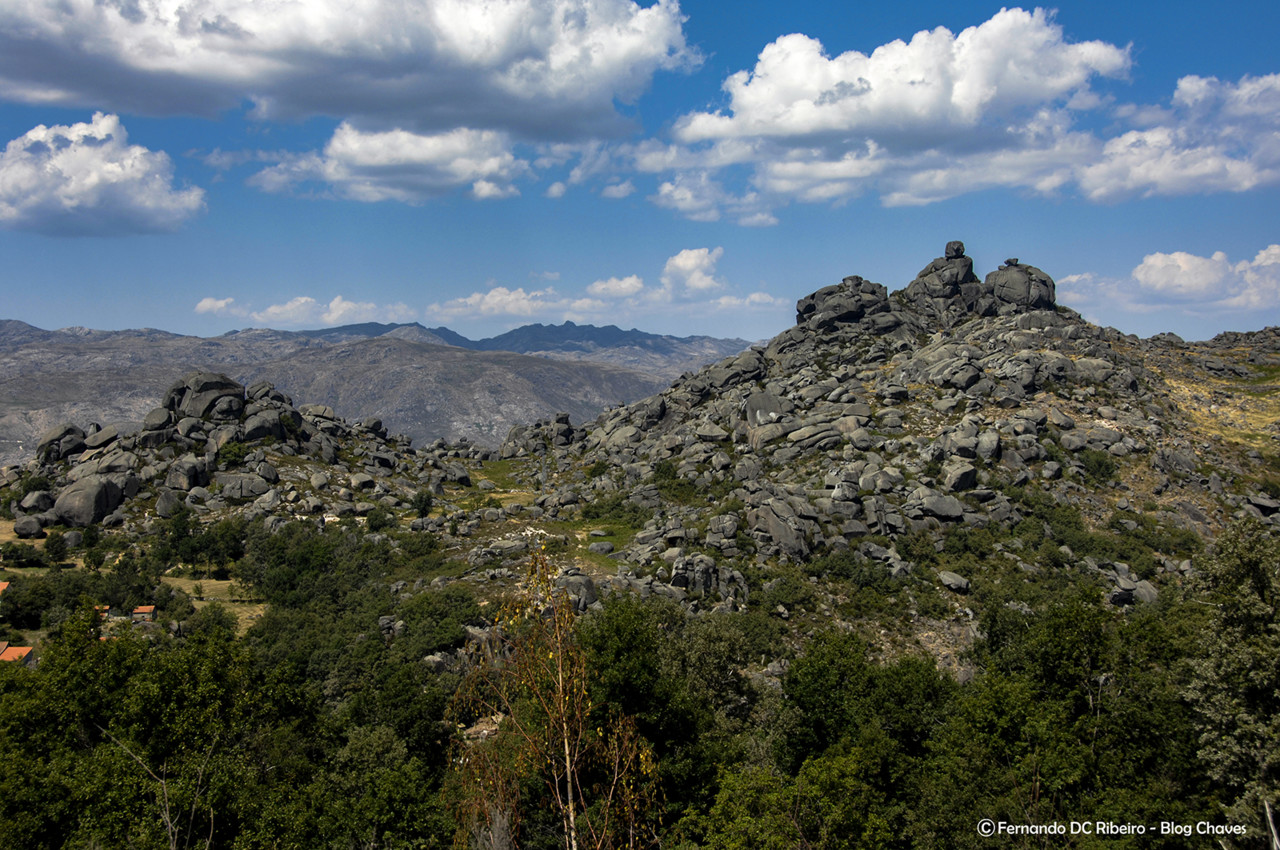 1600-ponteira (105)-granjo-9.jpg