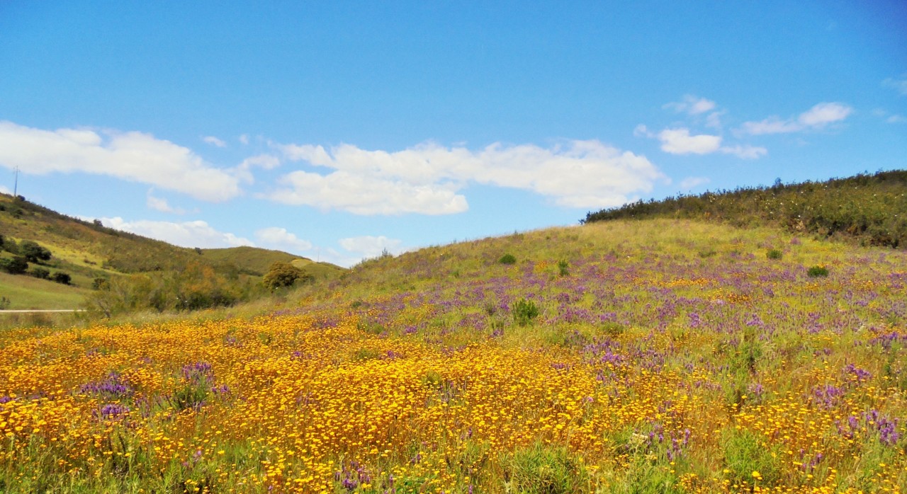 serenidade....JPG serenidade....JPG