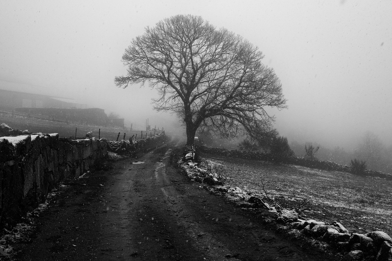 DSCF2983 - cópia copy.jpg