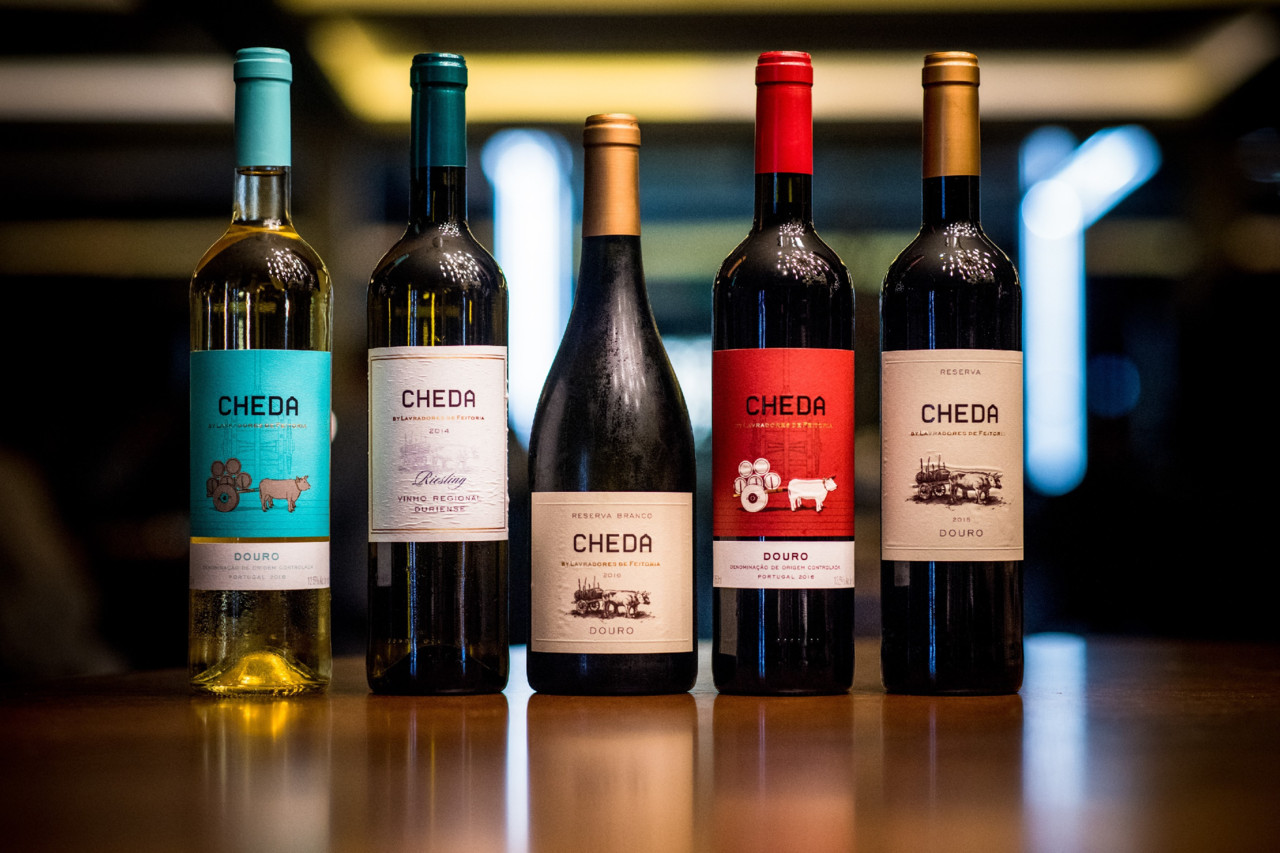 Lavradores de Feitoria - Cheda_GONCALO VILLAVERDE_0703.jpg