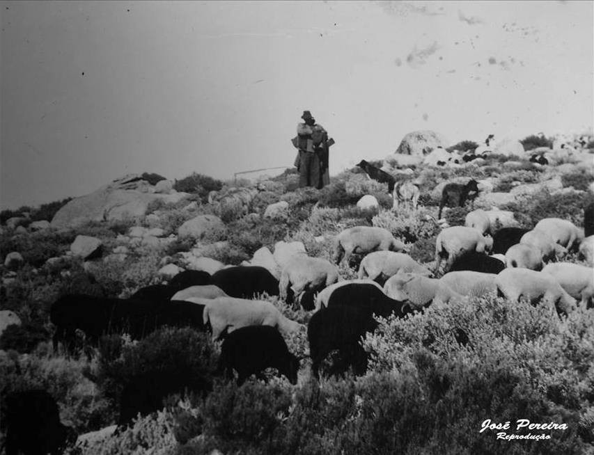 17523614_1236372303146875_7626953534479346983_n.jp