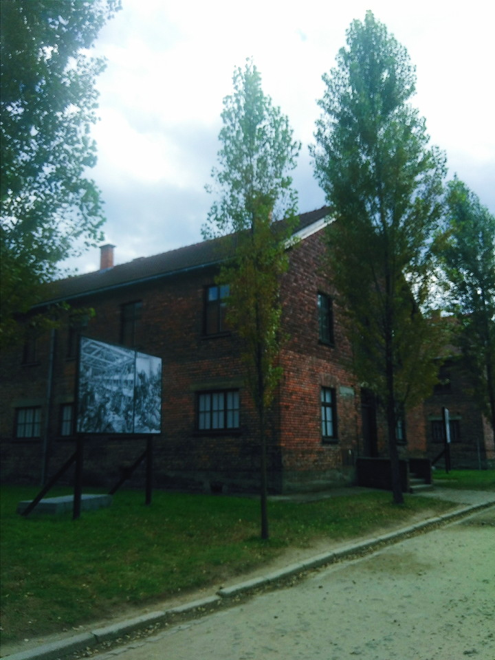 2016-08-15 05.43.42 1.jpg