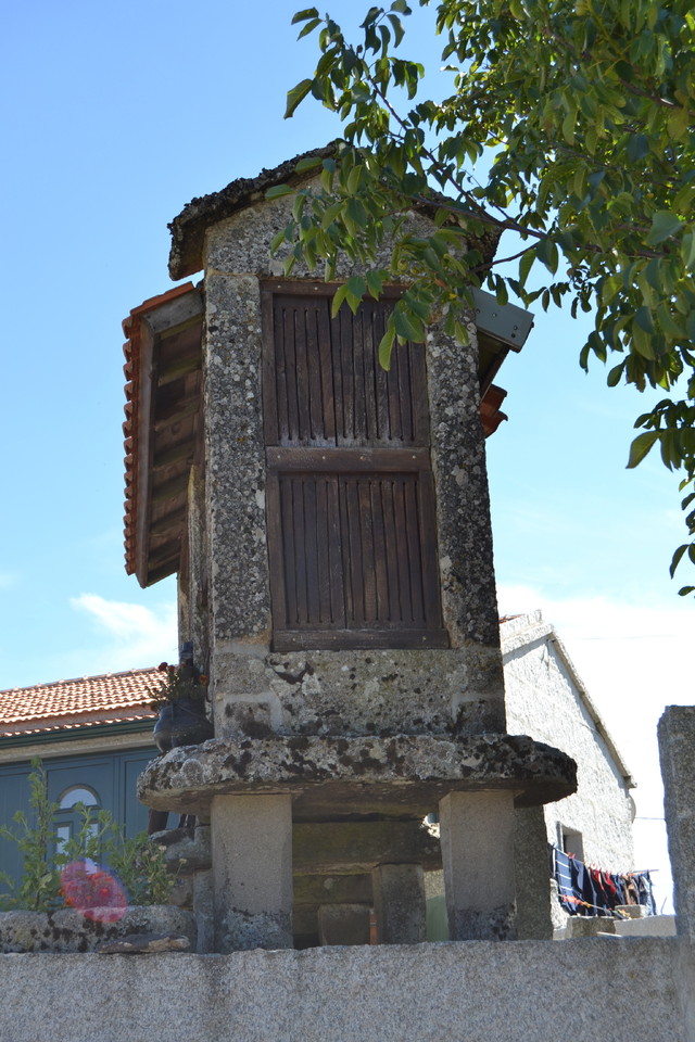 DSC_0121.JPG DSC_0121.JPG