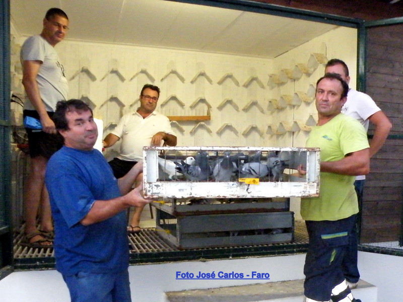 Derby Faro 2016 017.JPG