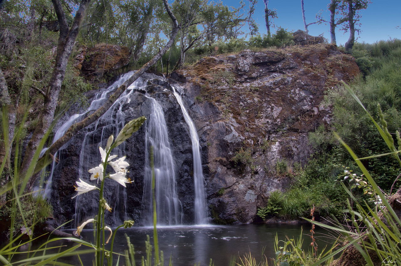 1600-firvidas (88).jpg