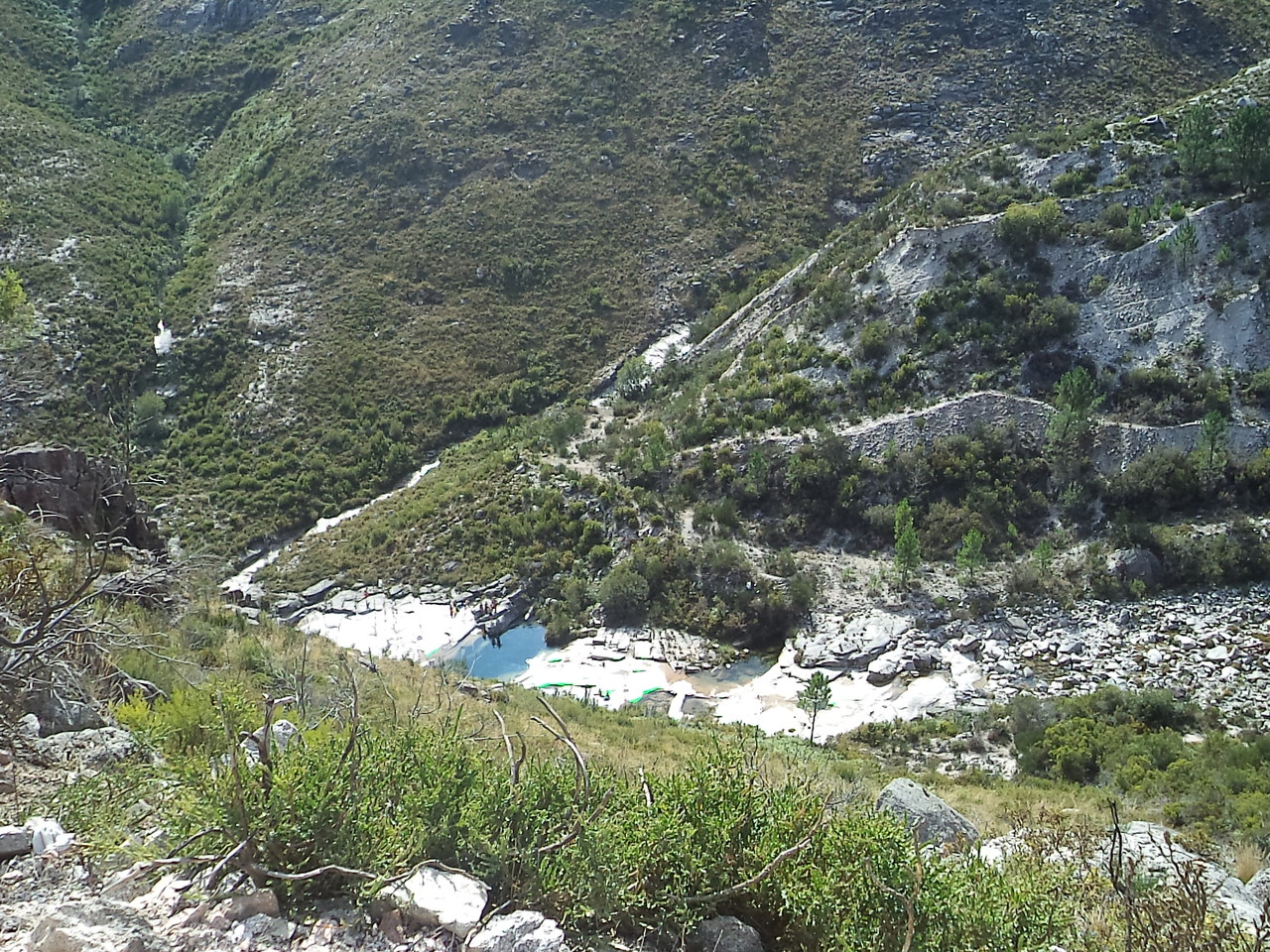 DSC08767.JPG DSC08767.JPG