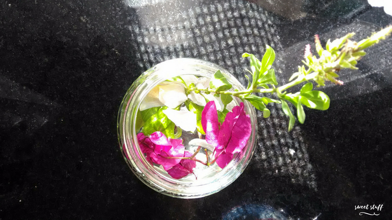 coisas simples da vida.png