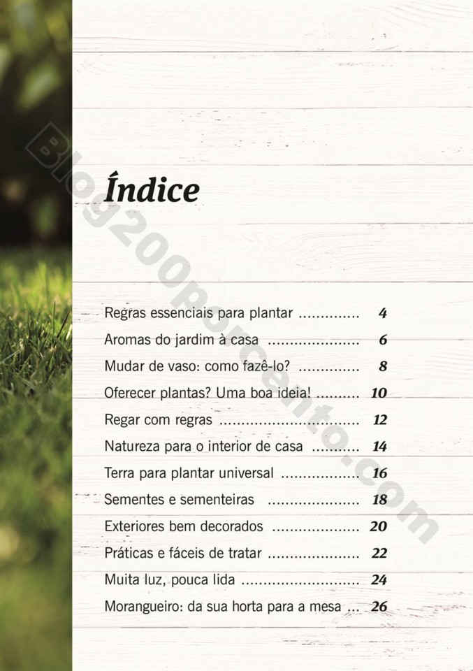 plantas_lidl_mercado_001.jpg