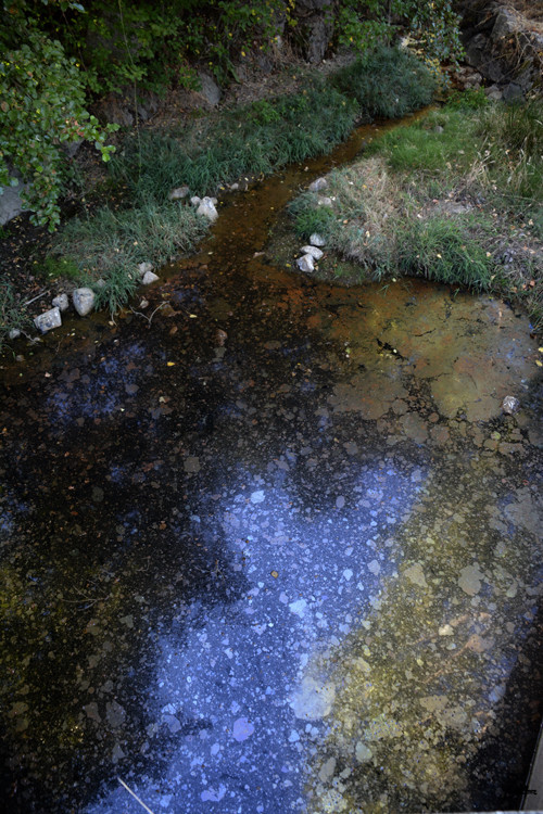 _D704698.JPG
