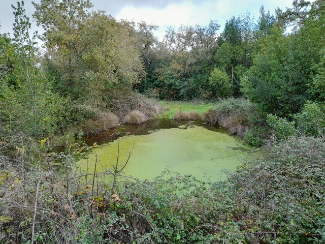 PHOTO-2023-04-16-19-19-52 (2).jpg