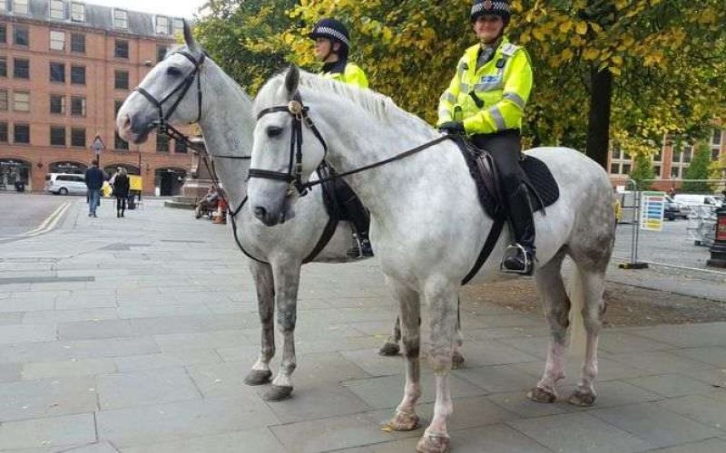 policias.jpg policias.jpg