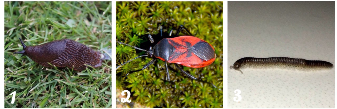 IMG_1236.JPG IMG_1236.JPG