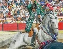 parreirita.jpg parreirita.jpg