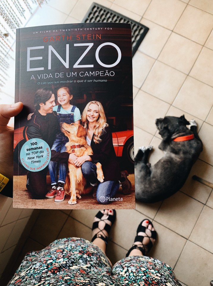 Enzo A Vida de Um Campeao.JPG
