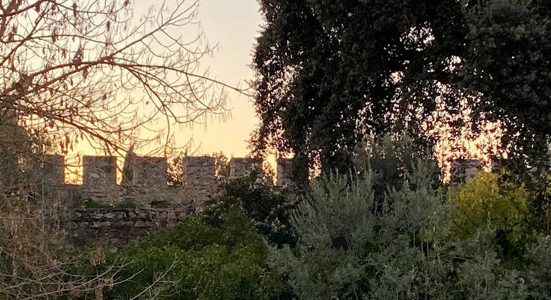 Screen Shot 2025-11-28 at 17.16.32.png