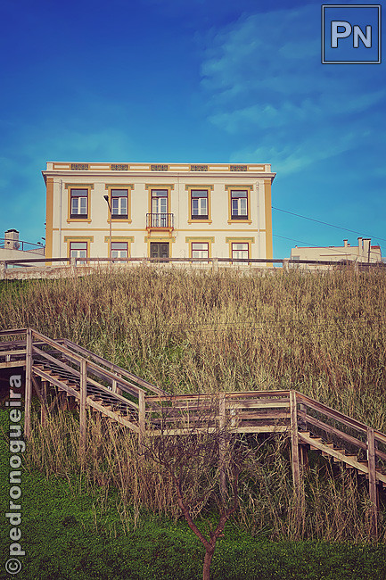 Fev_2021_037b 3_2 650px.jpg