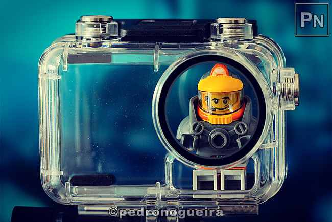 _MG_3245 650px.jpg _MG_3245 650px.jpg