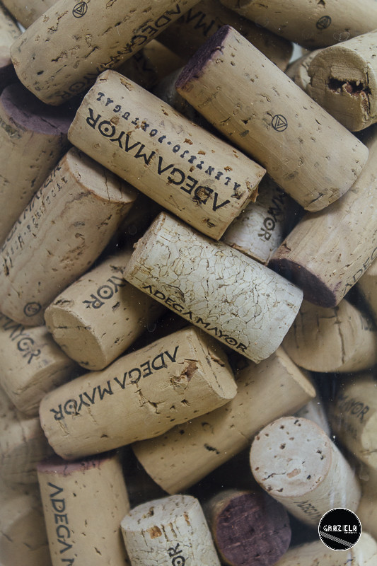 Campo_Maior_Originais-001163.jpg Campo_Maior_Originais-001163.jpg