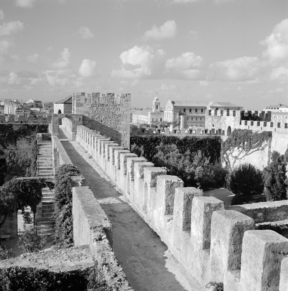 0001_M.jpg 0001_M.jpg