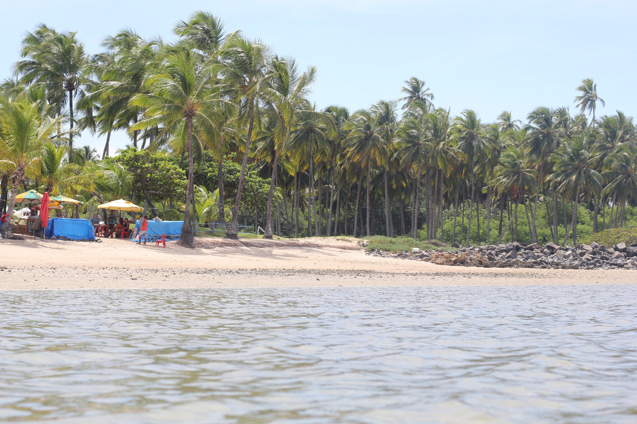 IMG_7928.jpg IMG_7928.jpg