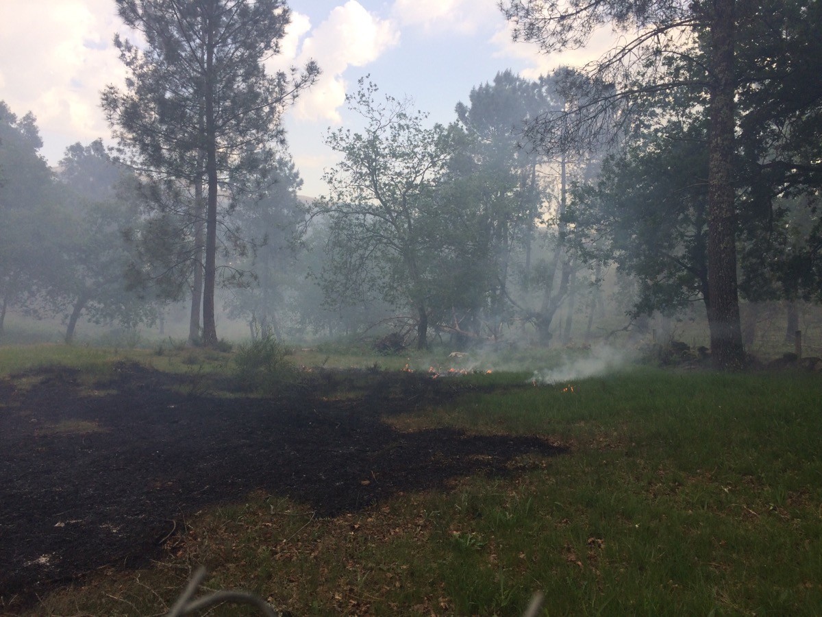 imgpsh_fullsize (3).jpg