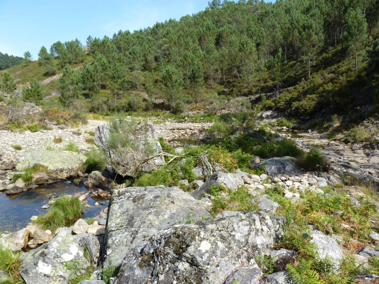 Ermelo (8).JPG Ermelo (8).JPG