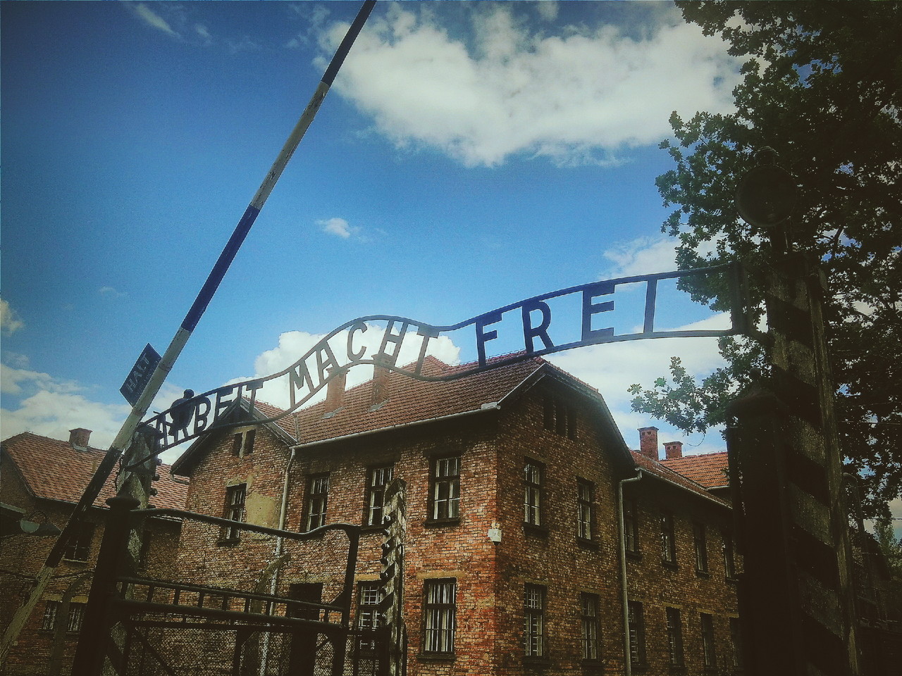 2016-08-15 05.43.49 1.jpg