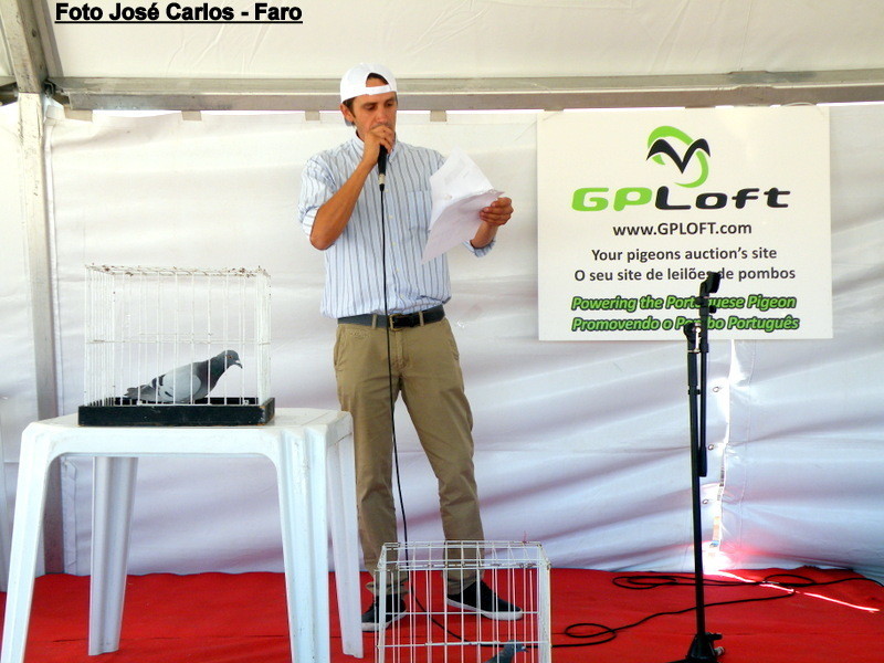 Derby Faro 2017 121.JPG