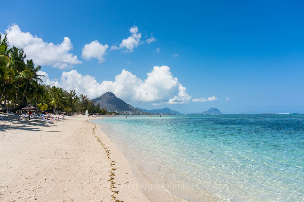 DSC01802.jpg DSC01802.jpg